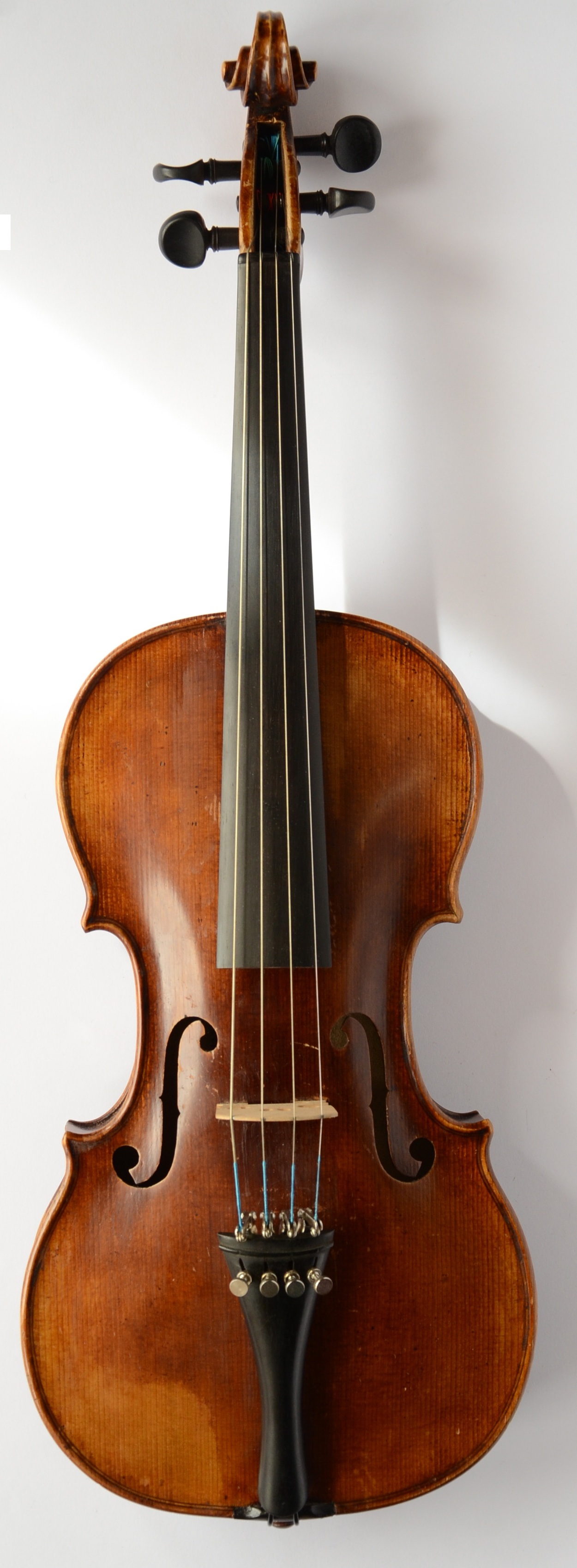 Violino Celionato